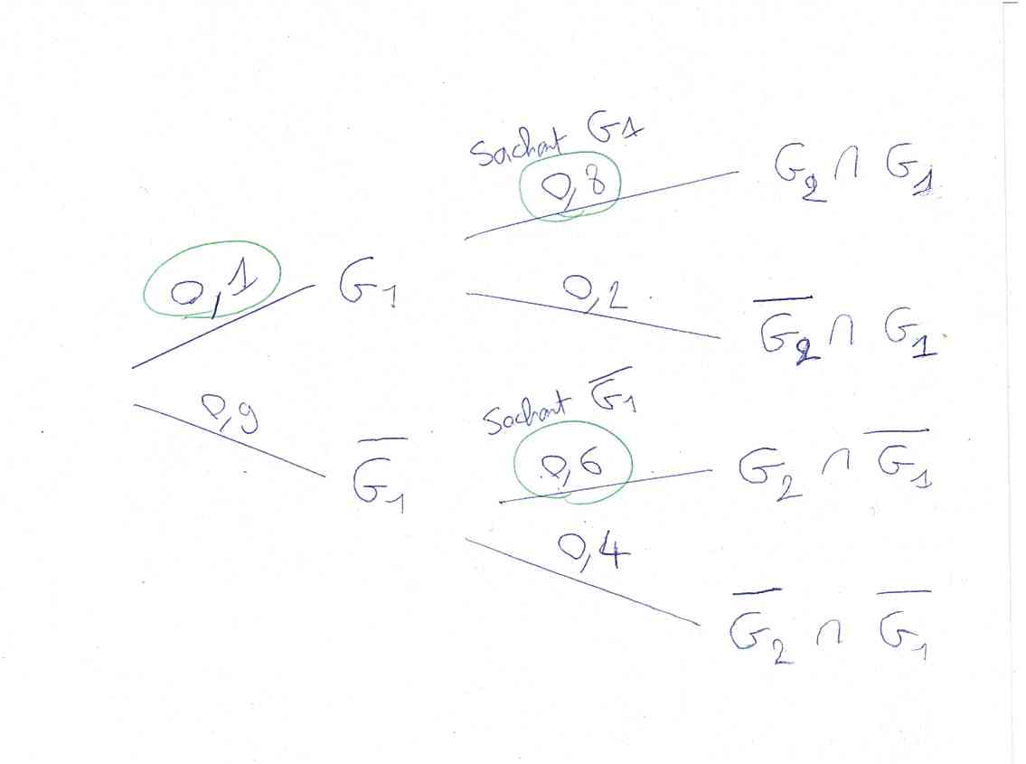Probabilités conditionnelles, sachant, intersection, suite, limite, inéquation, récurrence Probabilités conditionnelles, sachant, intersection, suite, limite, inéquation, récurrence