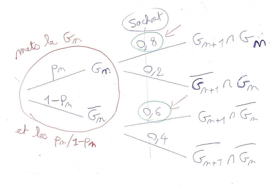 Probabilités conditionnelles, sachant, intersection, suite, limite, inéquation, récurrence Probabilités conditionnelles, sachant, intersection, suite, limite, inéquation, récurrence